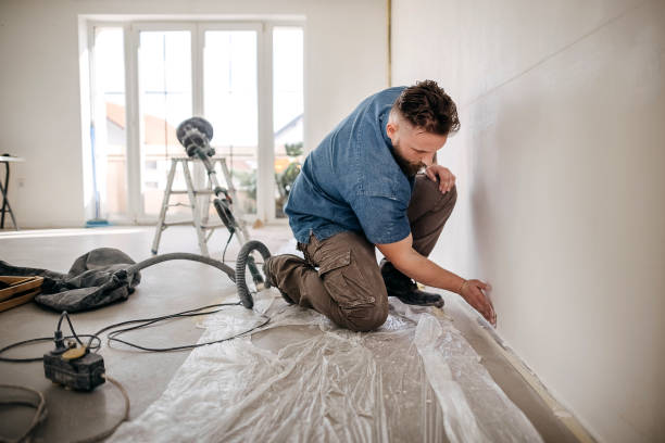 Best Fire-Damaged Drywall Repair  in Esparto, CA